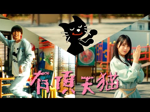 キヨ 「有頂天猫」 Music Video