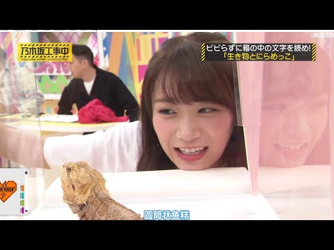 乃木坂46 乃木坂工事中 2024 Episodes 183 + 187 FULL SHOW HD