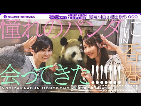 【香港】"てれさぱんだ"が先輩・黒見と一緒に本物のパンダを発見！