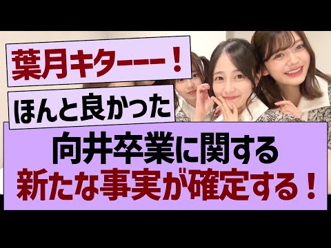 向井卒業に関する、新たな事実が確定する！【乃木坂46・乃木坂工事中・乃木坂配信中】